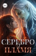 обложка книги Арина Сокол "Серебро и пламя"