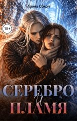 обложка книги Арина Сокол "Серебро и пламя"