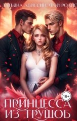 обложка книги Татьяна Абиссин Фэй Родис "Принцесса из трущоб"