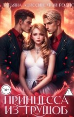 обложка книги Татьяна Абиссин Фэй Родис "Принцесса из трущоб"