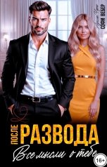 обложка книги Софи Вебер "После развода. Все мысли о тебе"