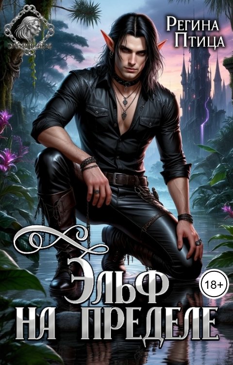 Обложка книги Регина Птица Моно Эльф на пределе. 3. Пересекая границы