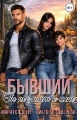 обложка книги Мари Голдберг, Виктория Северная "Бывший. Он не знает о сыне"