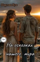 обложка книги Шарлин Кук "На осколках нашего мира"