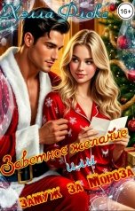 обложка книги Хэлла Флокс "Заветное желание или замуж за Мороза"