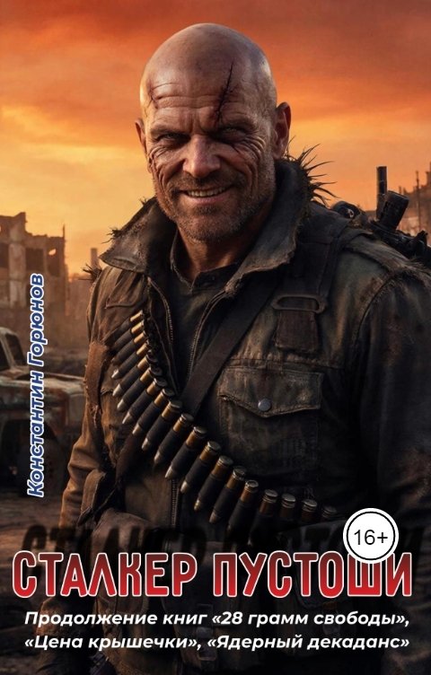 Обложка книги Константин Горюнов Сталкер Пустоши