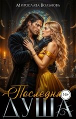 обложка книги Мирослава Вольнова "Последняя душа"