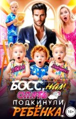 обложка книги Лёля Зайкина "Босс, нам опять подкинули ребёнка!"