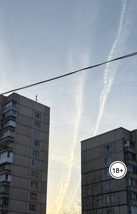 Обложка книги Elizaveta Efremova Птичка летит домой