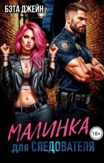 обложка книги Бэта Джейн "Малинка для следователя"