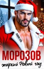 обложка книги Лавин Эль "Морозов. Жаркий Новый год."