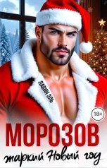 обложка книги Лавин Эль "Морозов. Жаркий Новый год."