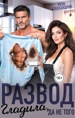 обложка книги Роза Александрия "Развод. Гладила, да не того"