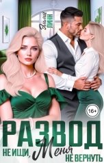 обложка книги Эмми Линн "Развод. Не ищи, меня не вернуть"
