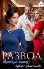 обложка книги Санна Сью "Развод. Разбитую чашку лучше заменить"