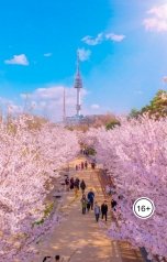 обложка книги Надя Бочарова "Лекарство от прошлого."