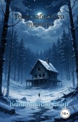 обложка книги Конюшенко Егор "Тени забытого приюта"