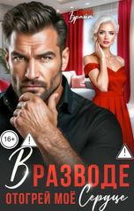 обложка книги София Брайт "В разводе. Отогрей моё сердце"