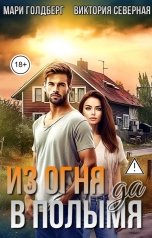 обложка книги Мари Голдберг "Из огня да в полымя"