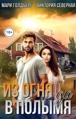 обложка книги Мари Голдберг "Из огня да в полымя"