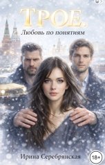 обложка книги Ирина Серебрянская "Трое. Любовь по понятиям"