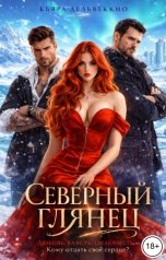 обложка книги Кьяра Дельвеккио "Северный глянец"