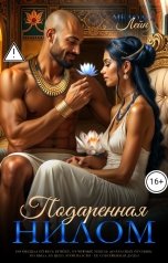 обложка книги Мелоди Лейн "Подаренная Нилом"