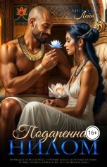 обложка книги Мелоди Лейн "Подаренная Нилом"