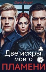 обложка книги Dark Angel "Две искры моего пламени"