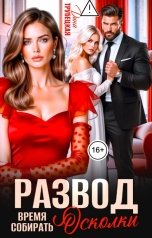 обложка книги Дина Трубецкая "Развод. Время собирать Осколки!"