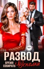 обложка книги Дина Трубецкая "Развод. Время собирать Осколки!"