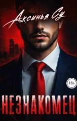 обложка книги Аксинья Су "Незнакомец"