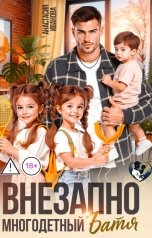 обложка книги Анастасия Иванова "Внезапно многодетный папа"