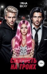 обложка книги Тина Шеху "Скорость на троих"