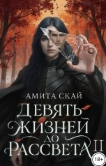 обложка книги Амита Скай "Девять жизней до рассвета 2"