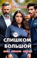 обложка книги Ван Лав "Слишком большой...сын моего мужа"