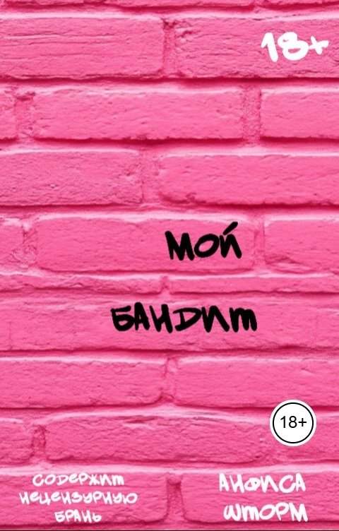 Обложка книги Анфиса Шторм Мой бандит