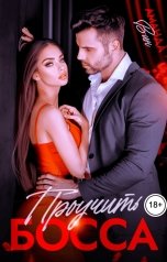 обложка книги Аманда Вин "Проучить босса"