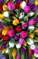 обложка книги Галина Чередий "Куплю тебя. Навсегда. Бонус"