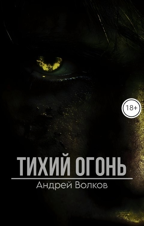 Обложка книги Андрей Волков Тихий огонь