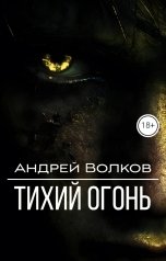 обложка книги Андрей Волков "Тихий огонь"