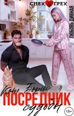 обложка книги Любовь  Дивная "Кот Борис - посредник судьбы"