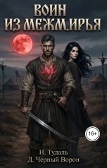 обложка книги Д.Черный Ворон, Наталья Тудаль "Воин из Межмирья"