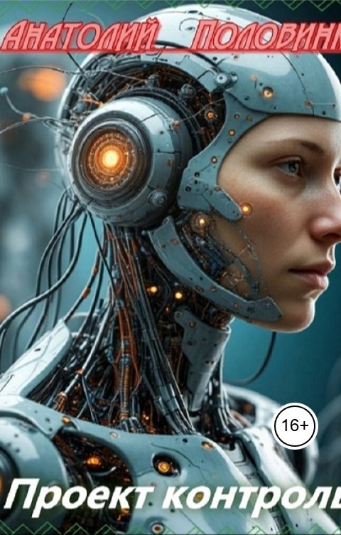 Обложка книги Анатолий Половинкин Проект "Контроль" - 2