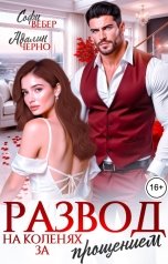 обложка книги Софи Вебер, Адалин Черно "Развод. На коленях за прощением"