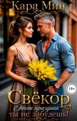 обложка книги Кара Мин "Свёкор. Этот праздник ты не забудешь!"