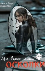 обложка книги Надя Смирнова "Мы всего лишь осколки"