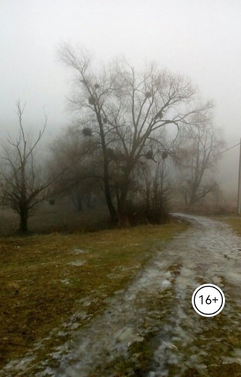 Обложка книги v8.art Горечь