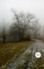 обложка книги v8.art "Горечь"