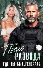 обложка книги София Брайт "После развода. Где ты был, генерал?"